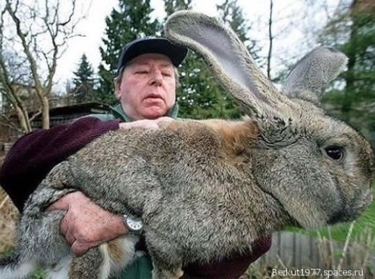 Фото для У кого то есть возможность а у кого мечта