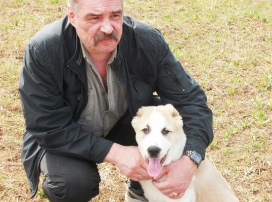 Фото для Задолженость