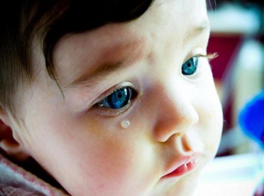 Фото для Люди, прошу о помощи