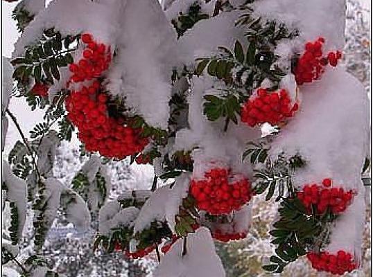 Фото для Не хочу вас обманывать