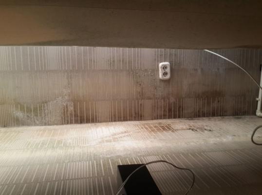 Фото для Двое маленьких детей и плесень