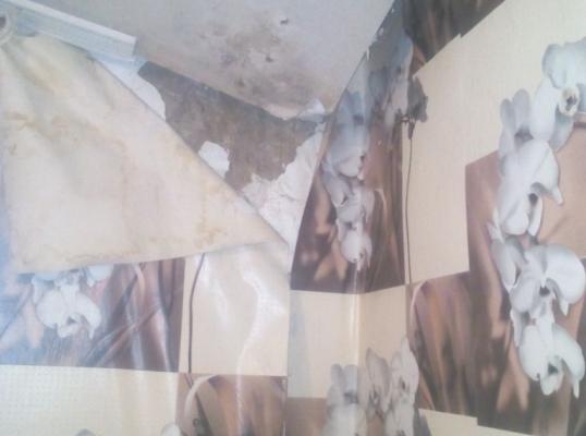 Фото для На ремонт крыши дома