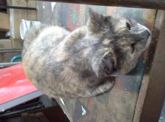 Фото для Банковский террор