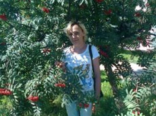 Фото для О помощи на лечение